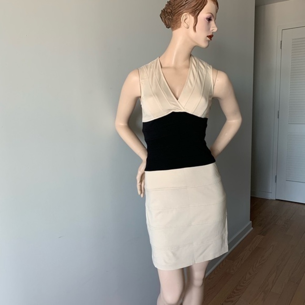 BCBGMaxazria colorblock dress